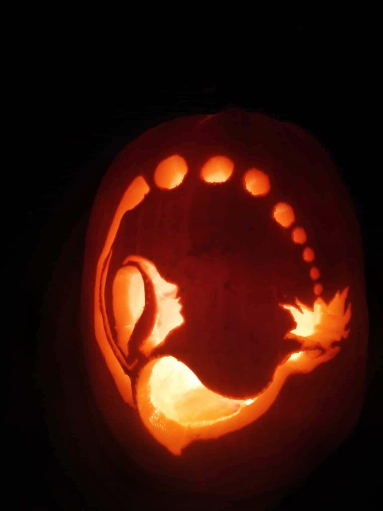 Box Your Way Fit Logo Carved on a Pumpkin