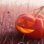 The Spiritual Meaning of Halloween Choosing Light when the Veil is Thin A Pumpkin Illuminated by natural light